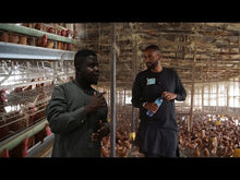 Load image into Gallery viewer, Sudanese Left The Uk To Be A Poultry Farmer In Northern Nigeria
