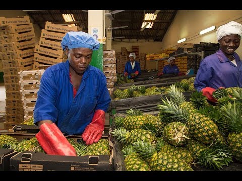 Making Agriculture the Engine of Growth and Job Creation in Ghana