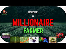 Load image into Gallery viewer, Top 10 high profit crops for you to become a MILLIONAIRE

