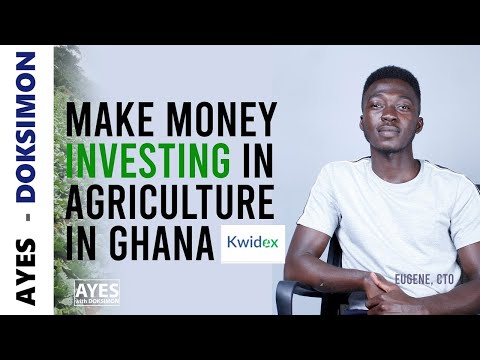 Make Money Investing in Agriculture in Ghana Through Kwidex || AYES || Ghana Episode 3 pt 2