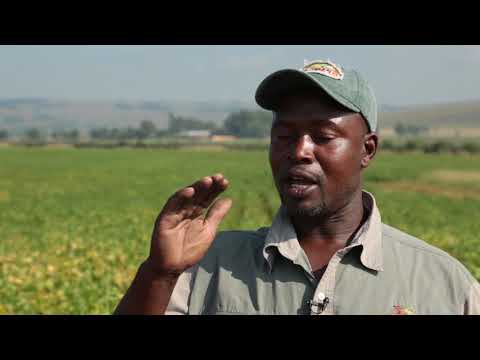 South African farmer Solomon Mahalngu