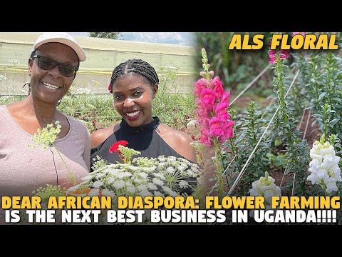 Dear African Diaspora: Flower Farming is The NEXT BEST Business in UGANDA!!!! (ALS FLORA FARM)