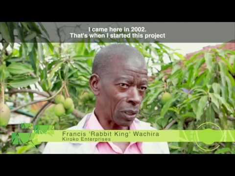 Urban Farming in Nairobi