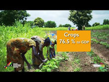 Load image into Gallery viewer, Ghana&#39;s Agricultural Sector in 2019
