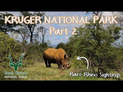 Kruger National Park | December 2020 | Part 2