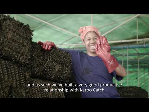 Sustainable Aquaculture at Blue Karoo Fish Farm in South Africa