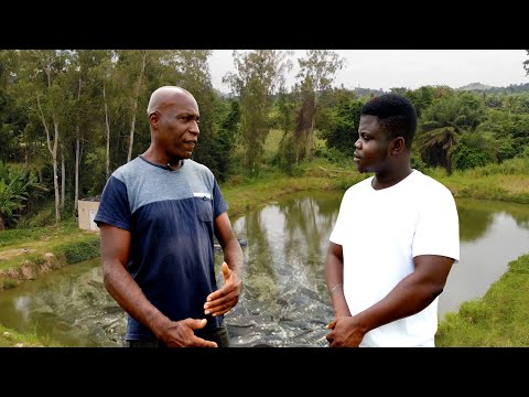 I Left The UK To Be A Fish Farmer In Ghana