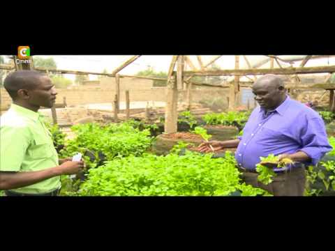 Smart Farm: Vertical Sack Farming