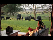 Load image into Gallery viewer, Sirikoi Lodge | Kenya Luxury Safari
