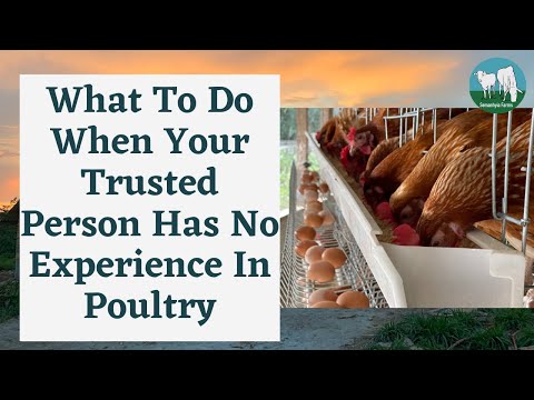 When Your Trusted Farm Manager Has No Knowledge About Poultry Farming