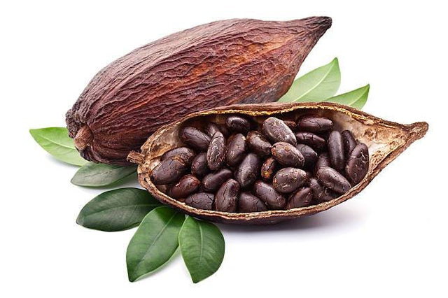 Funding of cocoa business