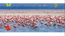 Load image into Gallery viewer, Top 10 tourist attraction sites in Kenya.
